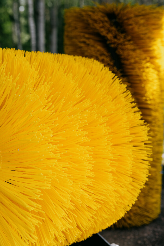 Sajas Group brush