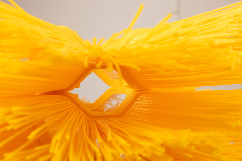 Beeline bürstenring